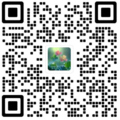 Analysis in Theory and Applications杂志模板